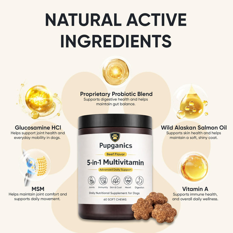 Pupganics Multivitamin Daily Soft Chews for Dogs, Pupganics 5 in 1 Multivitamin, Vitamin & Probiotics for Skin & Hair, Heart Health, Immune Support, Beef Flavor, 60 Soft Chews (1 PCS) 1 PCS