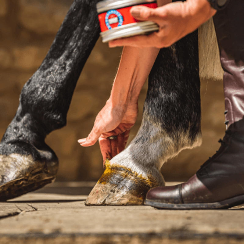 Cornucrescine Original Hoof Ointment - 250 ml 95 g - BeesActive Australia