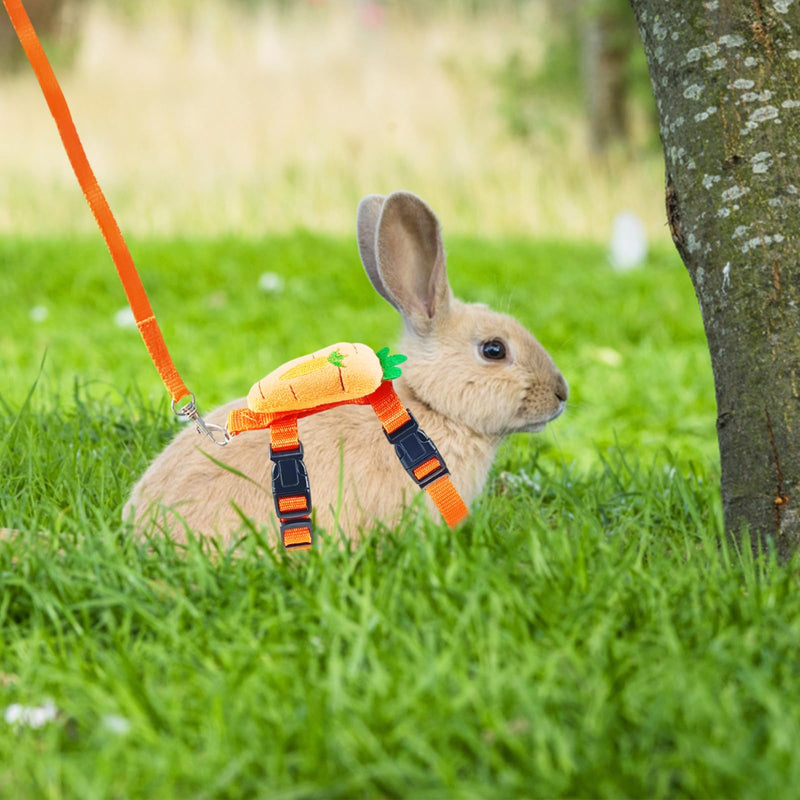 Bunny Harness and Leash for Rabbits,2 Pack Adjustable Bunny Harness,Cute Vest Harness and Leash Set, for Rabbit,Kitten, Puppy, Pig and Small Pet Animals Carrot, Strawberry S - BeesActive Australia