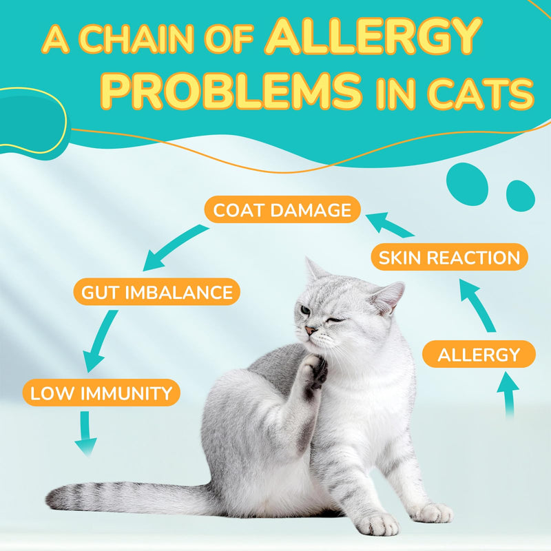 Dog & Cat Probiotics Chews, Gut Health for Dogs + Allergy Itch Relief for Cats, Digestive Immune Skin Support, Multi-Pet Household Solution, Chicken Flavor Soft & Crunchy Chews