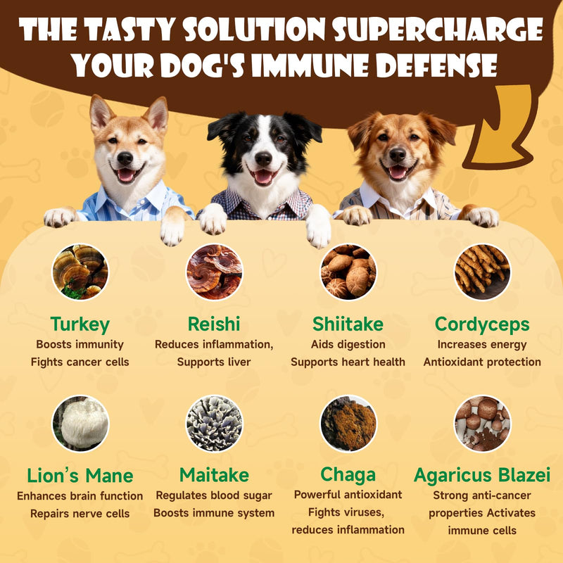 Mushroom Supplement for Dogs - Turkey Tail Mushroom for Dogs - Lumps & Bumps Treatment + Mushroom Powder - Organic Turkey Tail Mushroom for Dog – Mushroom Complex with Shiitake, Reishi
