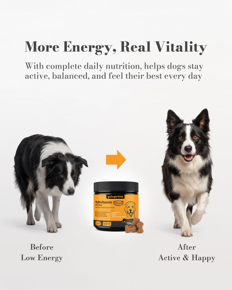 5-in-1 Advanced Multivitamin for Dogs - Daily Dog Vitamins with 1 Billion Probiotics, CoQ10, Lutein & Omega 3 - Skin, Coat, Heart, Eye & Gut Health Supplement - 120 Chews Chicken