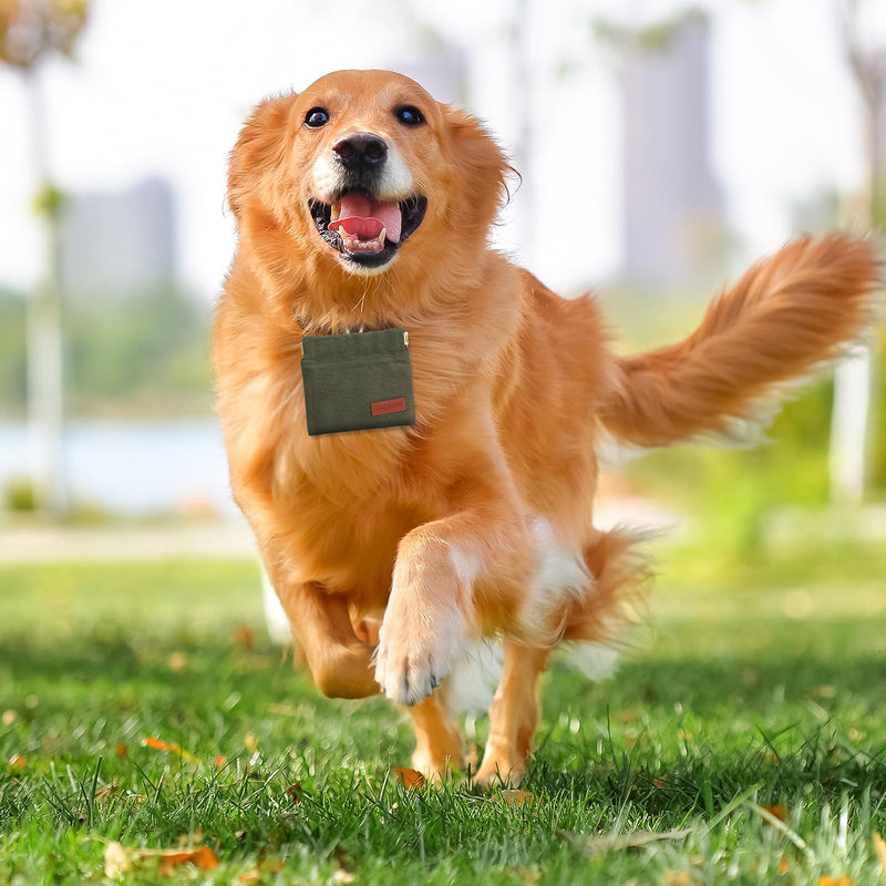 2PC Dog Treat Pouch,Dog Training Treat Reward Bag,Portable Puppy Hand Free Dog Walking Bag,Auto Closing Dog Food Dispenser,Behavior Aids for Puppy Travel or Outdoor(Green Khaki) Green+Khaki - BeesActive Australia