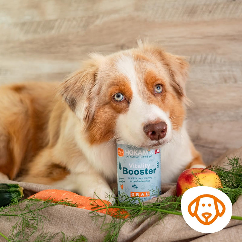 GRAU - the original - Hokamix Vitality Booster, pack of 1 (1 x 150 g), supplementary food for dogs