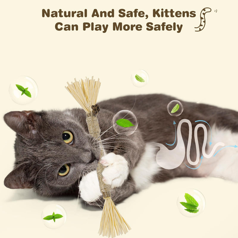 4 Pack Silvervine Sticks for Cats - Cat Chew Toy for Teeth Cleaning, Edible Matatabi Kitty Chew Sticks, Catnip Cat Toys for Indoor Cats (4 Sticks) 4 Sticks Grey - BeesActive Australia