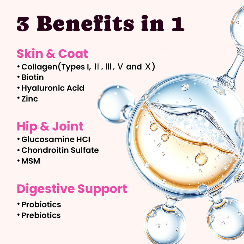 Premium Collagen for Dogs & Cats – 5 Types of Grass-Fed Collagen (I, II, III, V & X), Fast Allergy & Itch Relief Dog Colágeno with MSM, Biotin & Hyaluronic Acid – Supports Healthy Skin & Joints –120ml Bacon