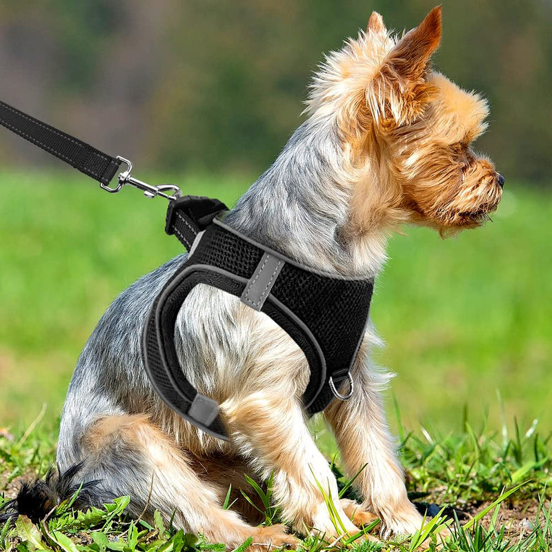Joytale Small Dog Harness, Breathable Mesh Step-in Vest Harness, Reflective Soft Padded Harnesses Small Sized Dog for Walking, Black, S S--Chest: 15-16.5'' - BeesActive Australia
