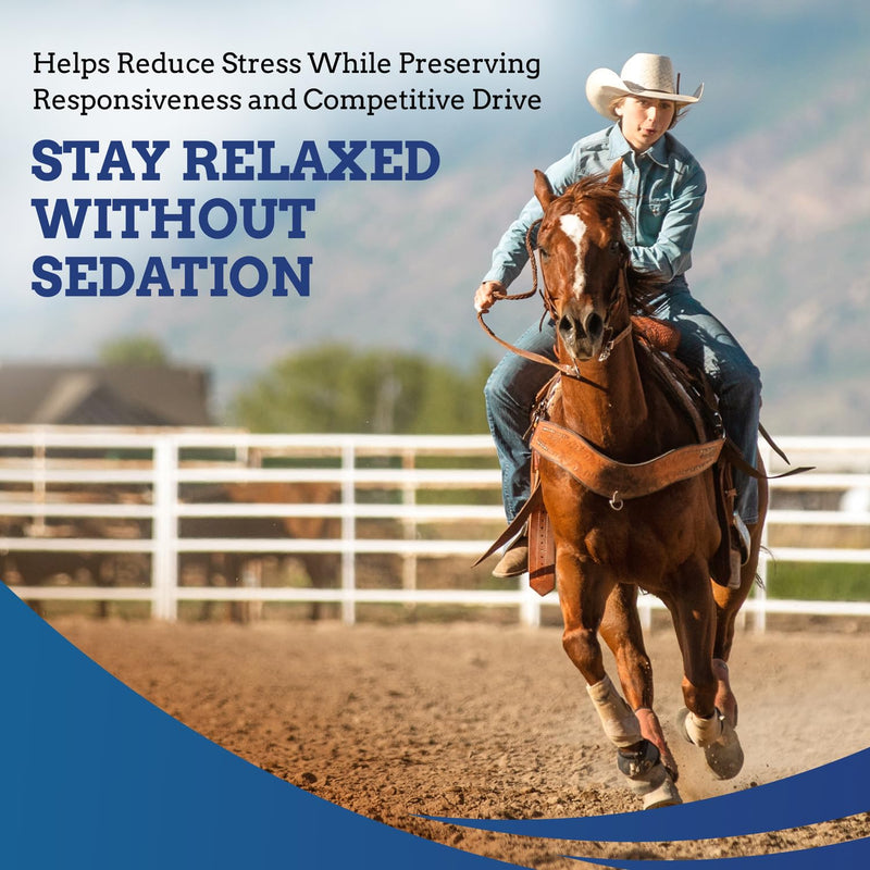 SynNutra TryChill™ 3 Pack | L-Tryptophan–Based Confidence & Composure Support for Horses | Non-Sedating, Show-Safe Formula | Supports Focus & Performance | 100% Natural | Made in USA 3-Pack