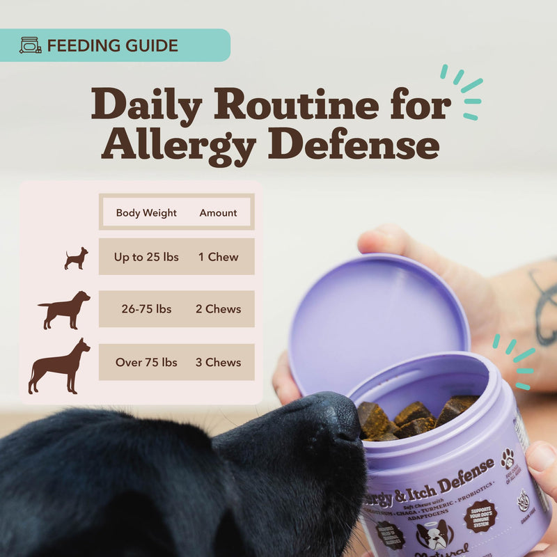 Natural Dog Company Allergy & Itch Defense Chews – Supports Seasonal Allergy, Itch, Skin, Coat & Immune Health, Gut Health with Probiotics, Colostrum & Salmon Oil, Grain-Free Dog Supplement, 90 ct 90 Count