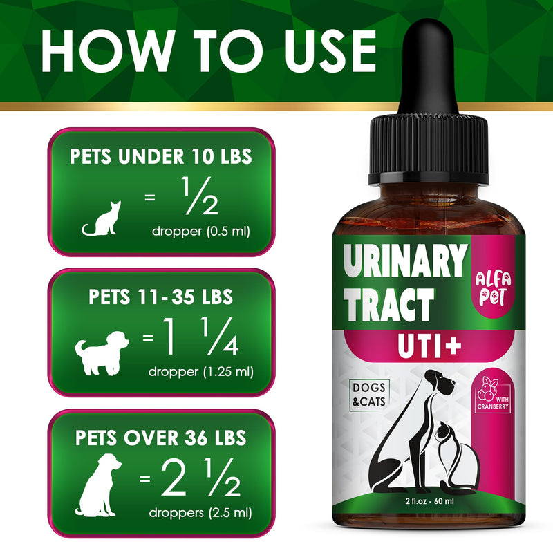 Сat Urinary Tract Infection Treatment with Cranberry – Dog UTI Treatment to Care for Bladder – Cat UTI Treatment for Kidneys – Preventive Support for Renal Health in Drops – 2 Oz - BeesActive Australia