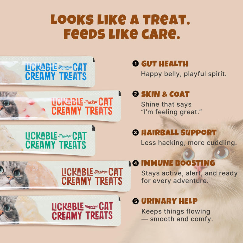 Havira Healthy Lickable Creamy Cat Treats Digestion Support – Chicken Recipe Squeeze Treats with probiotics & Lactic Cultures, Creamy Functional Snacks for Gentle Digestion & Daily Comfort, Grain Free 20