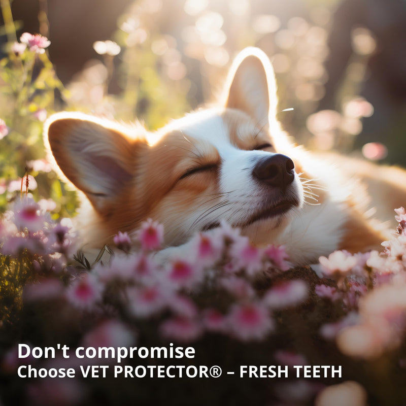 Mauhlöhle Fresh Teeth 100 ml, Professional Dental Care Spray, Dogs & Cats, Tartar Remover, Tooth Cleaning, Against Bad Breath Odour, Effective Dental Care, Dog Tartar Spray