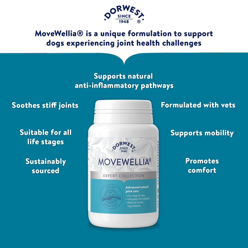 Dorwest Herbs MoveWellia Joint Care Supplement for Dogs and Cats - 100 Tablets - Natural Dog Supplements for Joint Discomfort with Boswellia, Chondroitin, Glucosamine and Celery Seed