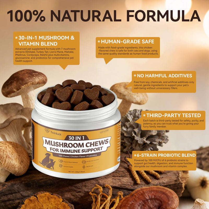 Turkey Tail Mushroom Chews for Dogs & Cats, 100 Chews, 7 Mushroom Blend with 6 Probiotic Strains, Daily Immune and Digestive Support