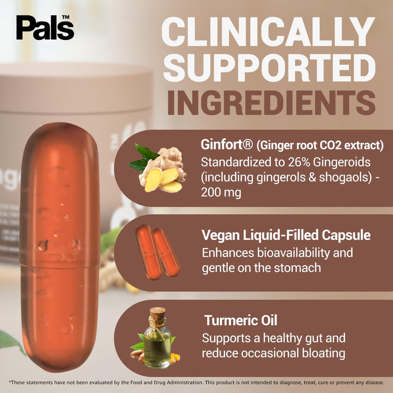 Pure Ginger Root Capsules Enh-12x: Ultra Potent 26% Gingeroids Extract Vegan Ginger Supplements for Nausea, Bloating & Menstrual Cramps, Support a Calm Stomach & Digestive Health, Non-GMO, (30 Days) - BeesActive Australia