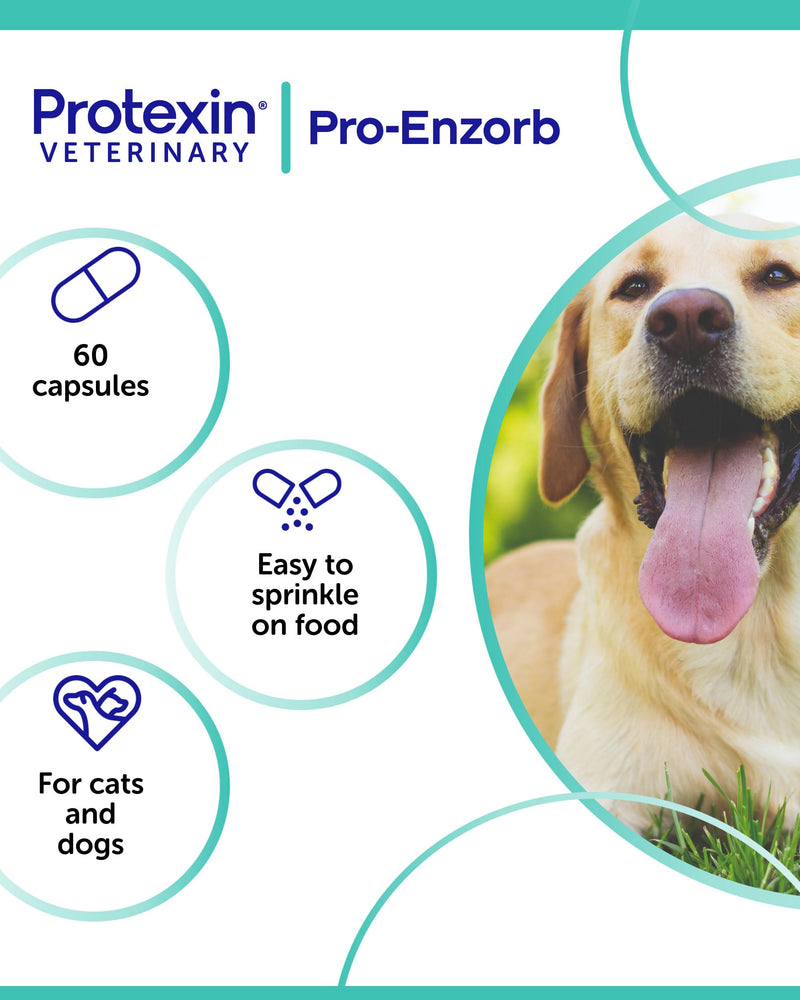 Pro-Enzorb for Dogs & Cats – Probiotic Sprinkle Capsules with Digestive Enzymes & Vitamin B12 – Supports Pancreatic & Digestive Function – 60 Capsules