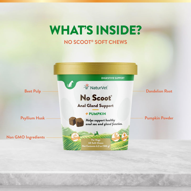 NaturVet - No Scoot for Dogs - 60 Soft Chews - Plus Pumpkin - Supports Healthy Anal Gland & Bowel Function - Enhanced with Beet Pulp & Psyllium Husk - BeesActive Australia