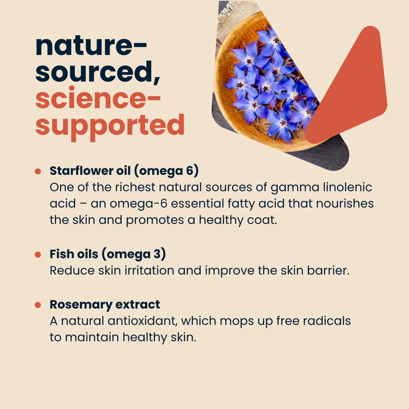 Seraquin Skin & Coat | 95 ml liquid supplement | Promotes glossy fur | Reduces irritation associated with dermatitis and eczema | For cats and dogs Dogs & Cats
