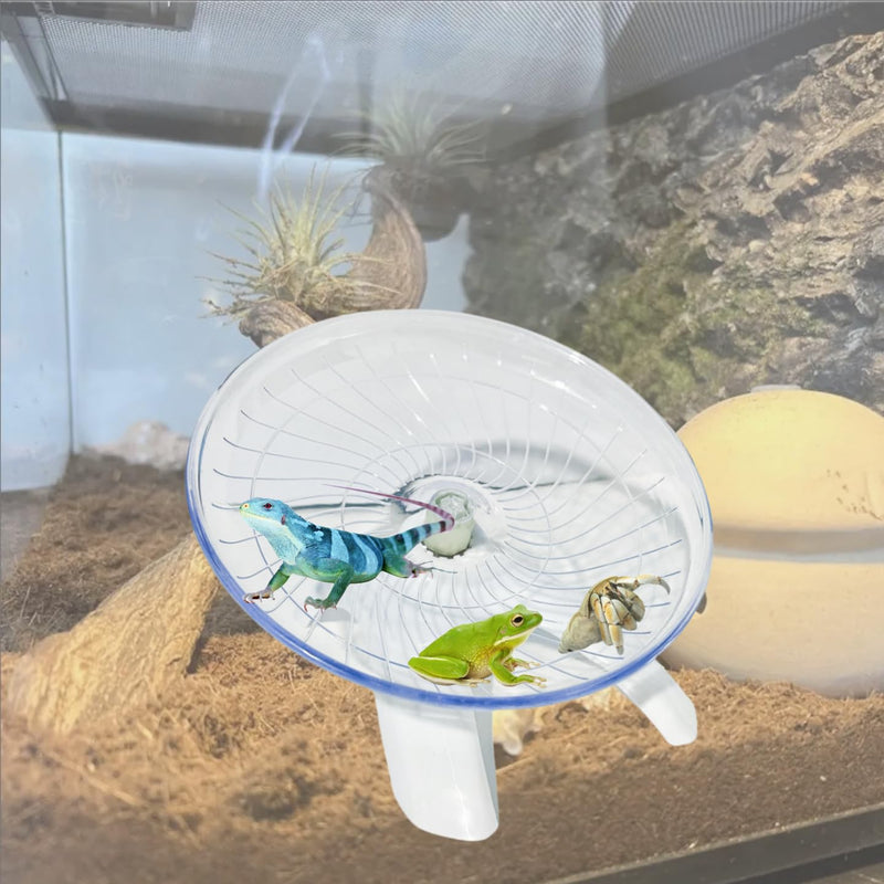 Funny Hermit Crab Running Wheel Climb Toy, Hamster Reptiles Running Flying Wheel Saucer, Cute Running Wheel for Guinea Pig Small Pet Animals Tree Frog Hamster Lizard Salamander Hermit Crab (White) White - BeesActive Australia