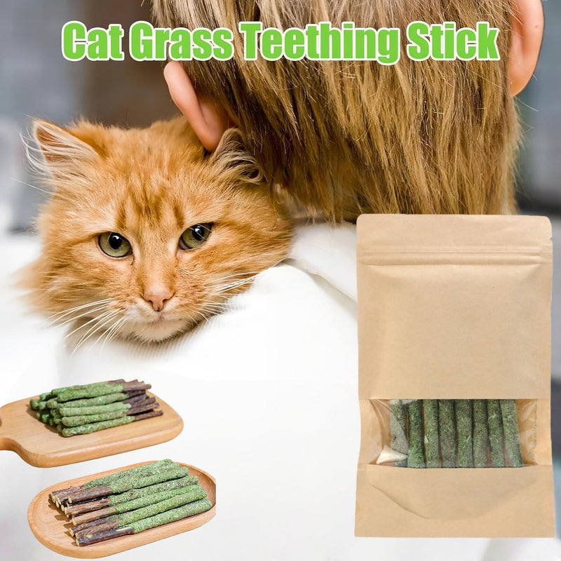 16PCS Cat Dental Treats & Teeth Cleaning To/ys with Catnip,Fresh Cat Dental Treats,Natu/ral Grass Cat Chew Sticks,Cat Chew Sticks & Teething T/oy,Cat Grass for Indoor Cats Teething