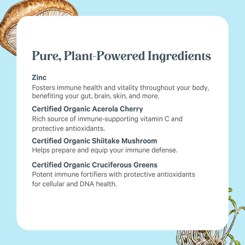 PURE SYNERGY Zinc Complex Immune Support Supplement (60 Capsules) | Natural, Vegan Zinc Complex with Vitamin C, Organic Whole Foods, For Immune, Brain, & Skin Health