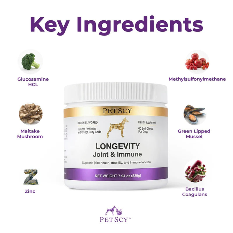 Petscy Longevity Hip & Joint + Immune Support Chews for Dogs - 3.75g Chew - High Dose Glucosamine, MSM, Chondroitin, Green Lipped Mussel, Omega 3, Probiotics - 60 Chews (Small & Medium Dogs) Small / Medium Dogs (0–64 lbs)