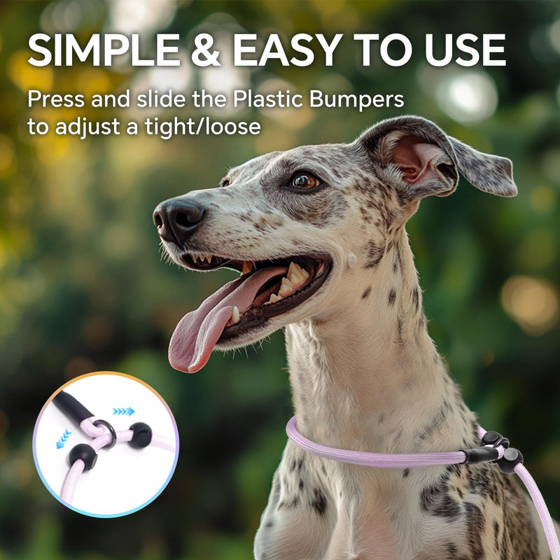 QQPETS Adjustable Slip Lead Dog Leash, Hands Free Waist Leash for Dog Walking, Reflective Training Lead with 360° Swivel Anti-Tangle, 4-7 ft Length for All Breeds Color Gradient