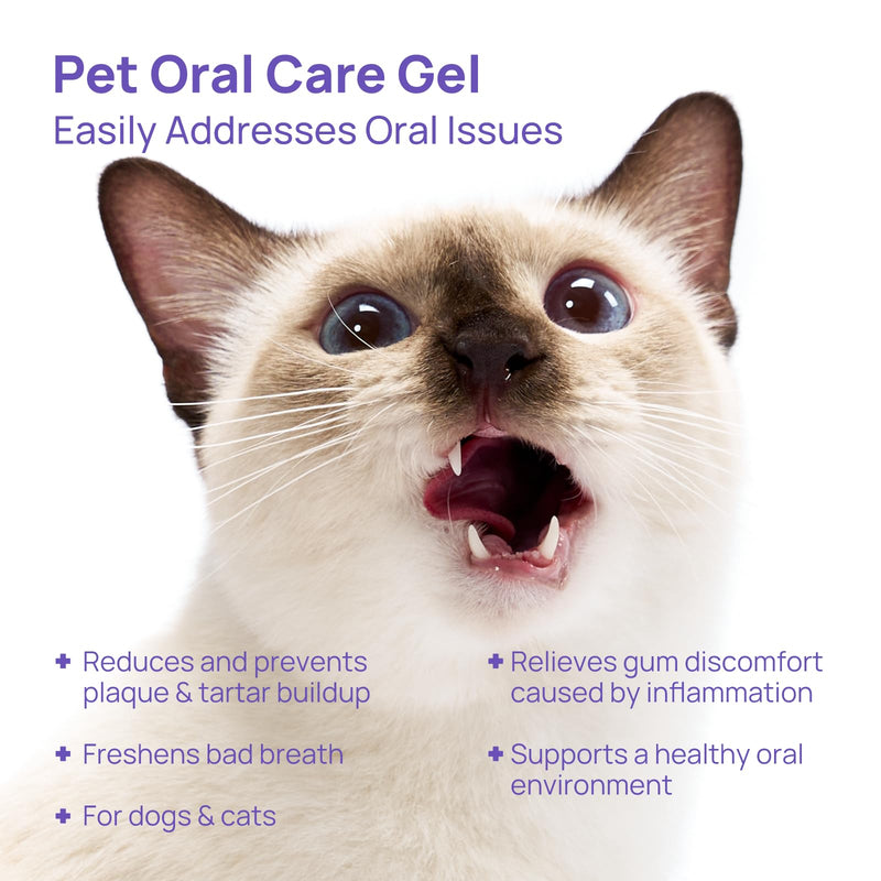 HICC PET Dog Dental Gel, Effective No-Brush Liquid Teeth Cleaner for Dogs and Cats, Helps Reduce Plaque & Tartar, Supports Daily Gum Comfort, 60ml, No More Bad Breath.