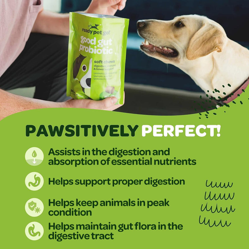 Probiotic Chews for Dogs Gut Health | Tasty Pre and Probiotics for Dogs Digestive Health with Pumpkin Dog Probiotics and Digestive Enzymes | NASC Certified & Made in The USA | 90 Chews 90 Count (Pack of 1) - PawsPlanet Australia