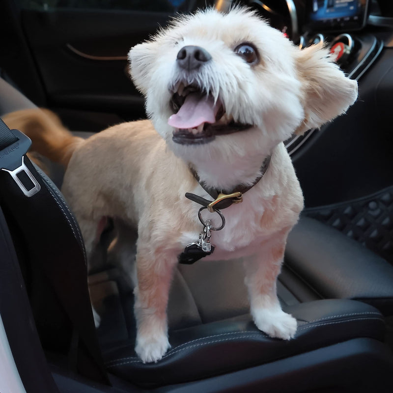 Mr. Pen- Dog Seat Belt, 2 Pack, Adjustable Dog Seat Belt for Car, Dog Seatbelt, Dog Car Seat Belts, Seat Belt for Dogs in Car, Dog Car Seat Belt, Dog Car Leash, Dog Seatbelt Harness, Pet Seatbelt - BeesActive Australia