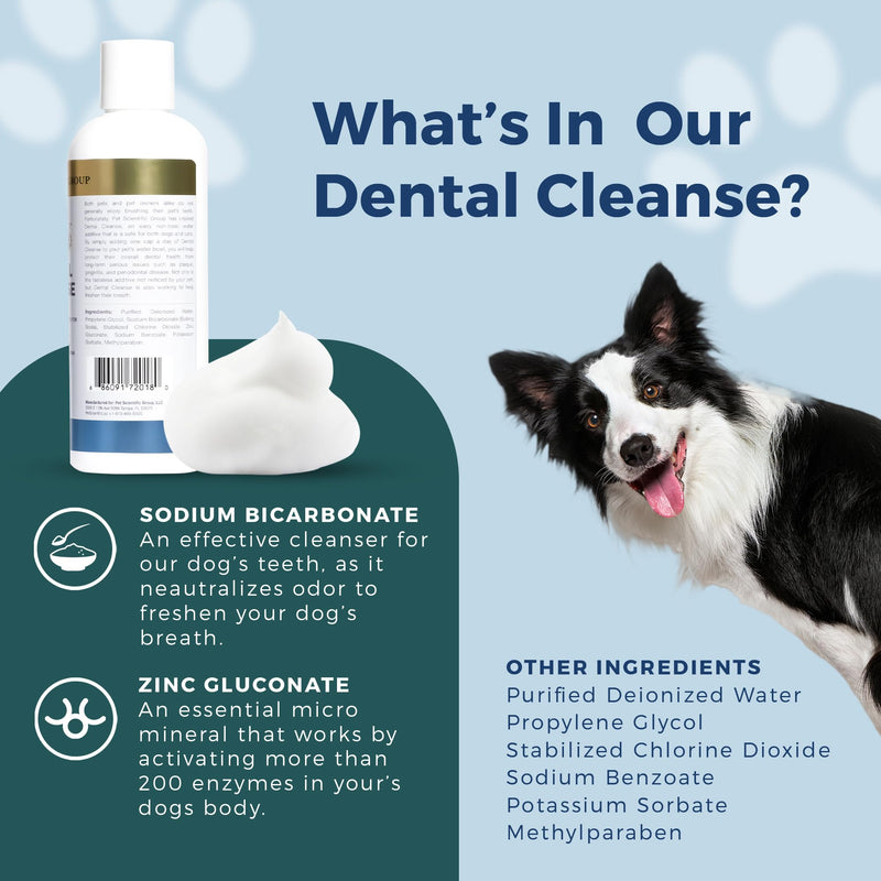 Petscy - Dental Cleanse, All-Natural Cat & Dog Tartar Remover for Teeth, Cat & Dog Water Additive for Dental Care, Suitable for All Ages, Breeds & Sizes, 8 Oz - PawsPlanet Australia