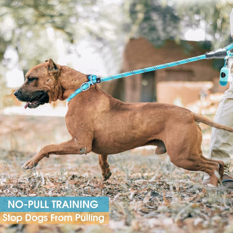 BAAPET 6 Feet Slip Lead Dog Leash Anti-Choking with Upgraded Durable Rope Cover and Comfortable Padded Handle for Large, Medium, Small Dogs Trainning with Poop Bags and Dispenser (Blue) Blue - BeesActive Australia