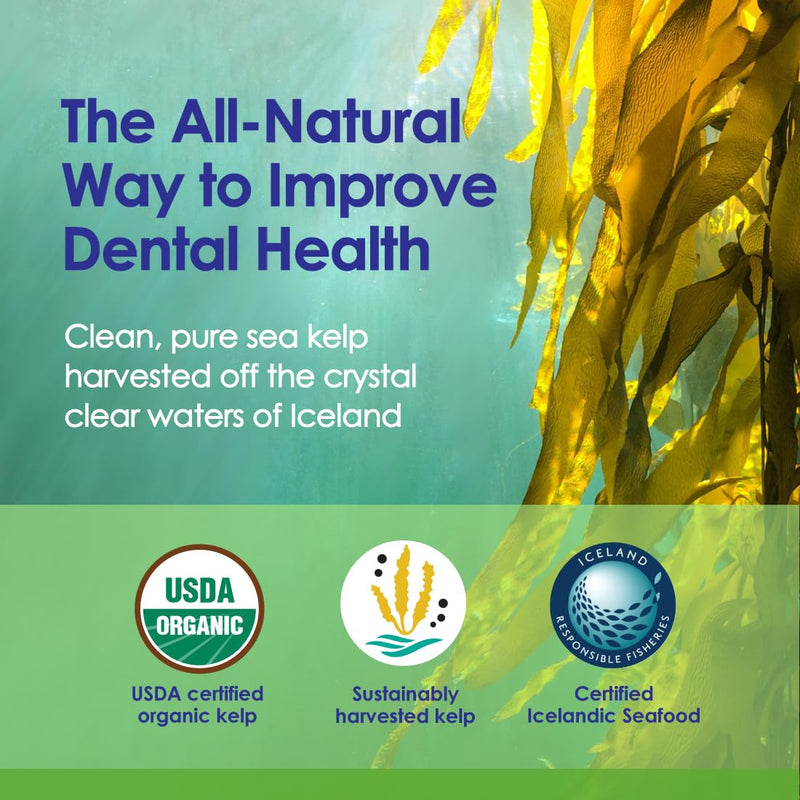 Dog Teeth Cleaning Powder, Dog Plaque and Tartar Remover, Bad Breath Treatment for Dogs with USDA Organic Sea Kelp Powder, Dog Dental Care Made Easy, for All Ages, 6oz - PawsPlanet Australia