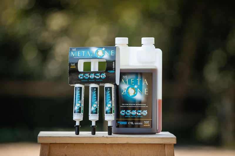 NAF Five Star Metazone Syringe 3 Pack – Targeted Support for the Bodies' Natural Anti-Inflammatory Processes– Ideal for Intense Work, Travel or Competition – Fast-Acting Paste Format