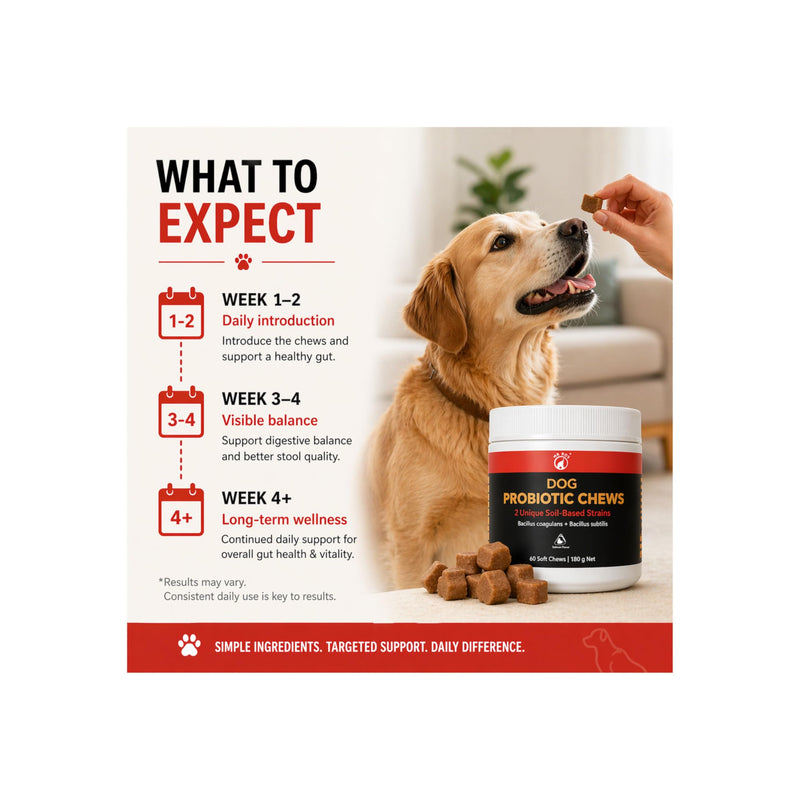 Dog Probiotic Chews – Gut Health & Digestive Support for Dogs – 2 Unique Soil-Based Probiotic Strains – Vet Formulated Salmon Soft Chews – 60 Chews