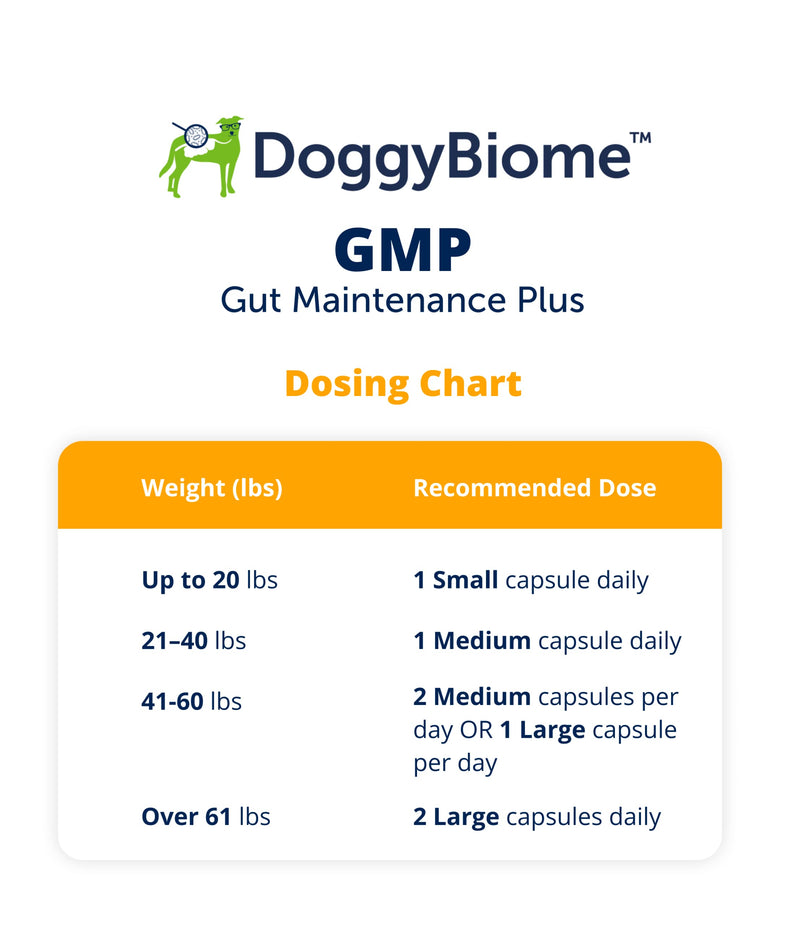 Dog Probiotics - GMP Prebiotics and Probiotics - Reduce Diarrhea Flareups - for Dogs Over 40 lbs (60 Capsules) - DoggyBiome Lg Capsule (Dogs over 40 lbs) - PawsPlanet Australia