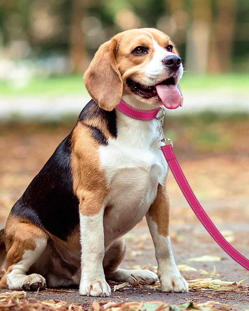 Taglory Dog Leash for Small Dogs, Double-Sided Reflective Dog Leash with Soft Neoprene Padded Handle, 3/4 inch by 4 ft, Fit Small Medium Large Breeds Dogs Under 20 lbs, Hot Pink 3/4 in x 4 ft (Pack of 1) - BeesActive Australia
