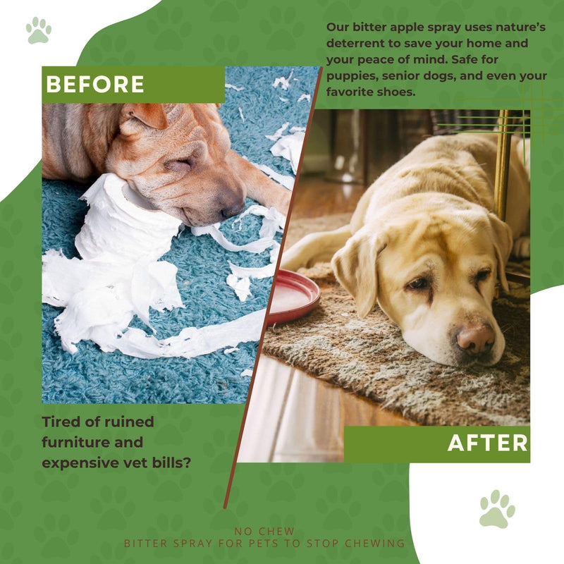 No Chew Spray for Dogs,Bitter Apple Spray for Dogs to Stop Chewing,Can Effectively Protect The Safety of Furniture,Plant,Shoes, Etc,Safe for People and Pets,Alcohol-Free, Indoor/Outdoor Use,150ML