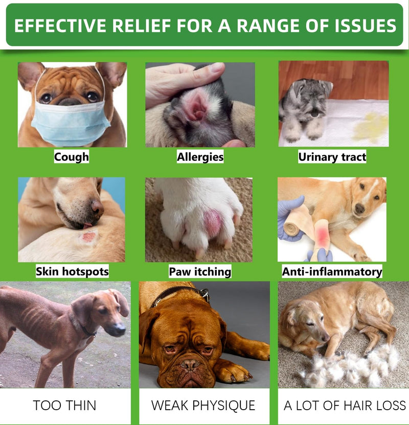 Natural Dog Antibiotics for Dogs, Dog Antibiotics Drops for Itchy Skin Supports Allergy Relief Allergies Ear Infections Coughs Vet, Non Irritating Anti-Fungal - Bacon Flavor (60ML) 60 millilitre