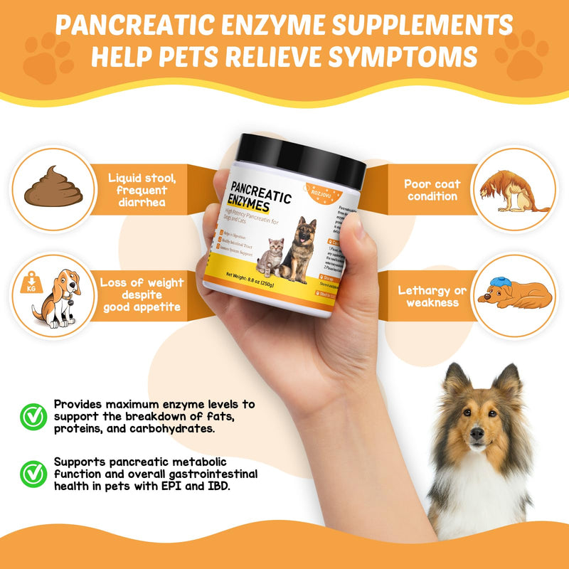 Pancreatic Enzymes for Dogs (8.8 Oz) | 10x Pancreatin Formula | Digestive Enzymes for Dogs with EPI | Helps Restore Normal Weight, Supports Digestive Stress and Pancreatic Issues - PawsPlanet Australia