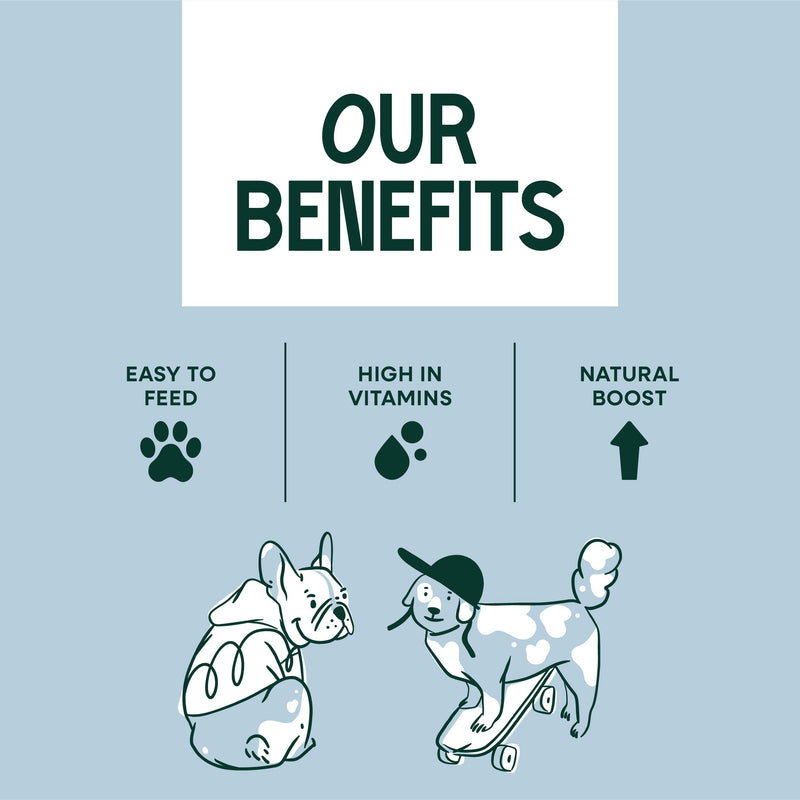 Senior Care Natural Health Supplement for Senior Dogs 160g – Daily Nutritional Support with Vitamins, Minerals & Botanical Ingredients