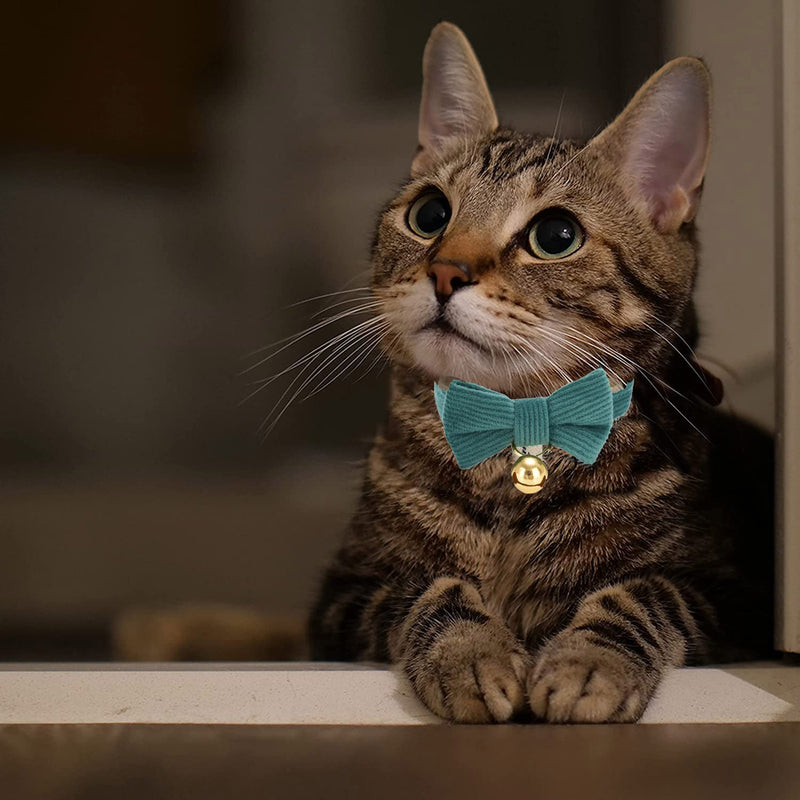 Cotton Breakaway Cat Collar with Bow Tie and Bell, Adjustable Cute Soft Corduroy Kitten Collars for Girl and Boy Cats,Dark Green Neck 7.5" - 11.0" Dark Green - BeesActive Australia