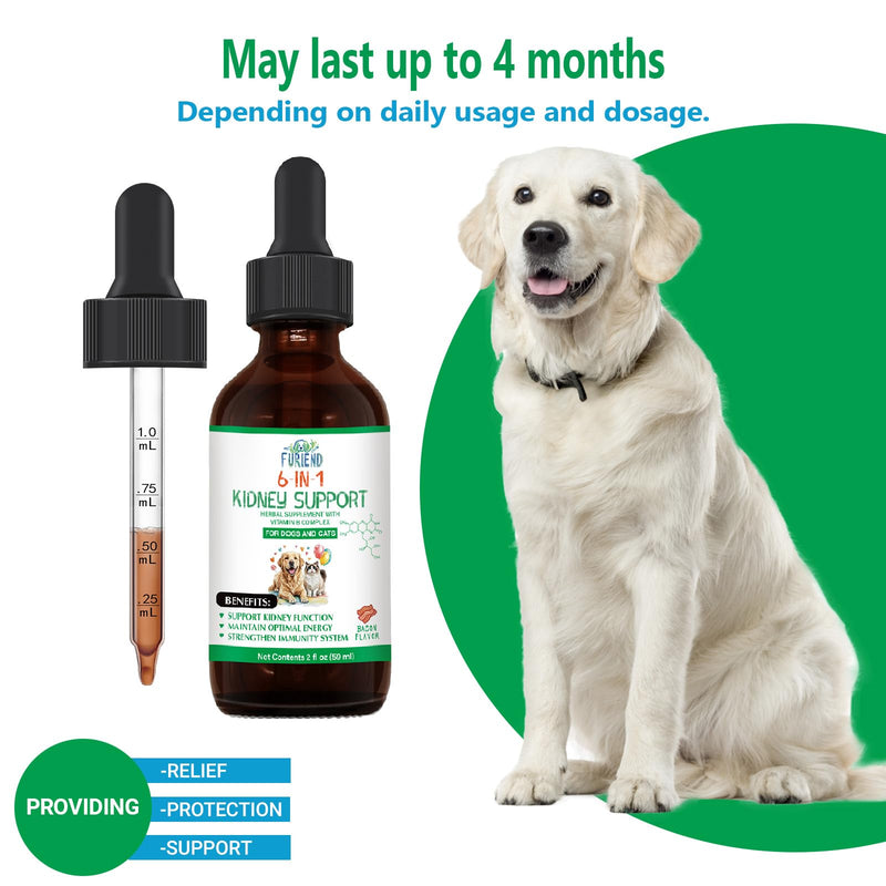 Veterinarian Formulated Kidney Support for Cats & Dogs | 6-in-1 Liquid with Herbal Blend + Vitamin B Complex | Bacon Flavor for Kidney & Urinary Health, Energy & Appetite | 2oz (59ml)