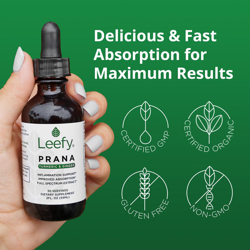 Leefy Organics PRANA - The Original Organic Liquid Turmeric Curcumin and Ginger Extract with Black Pepper | Supplement to Support Heart, Brain, Joint Health, Inflammatory Response, Immunity, Drops - BeesActive Australia