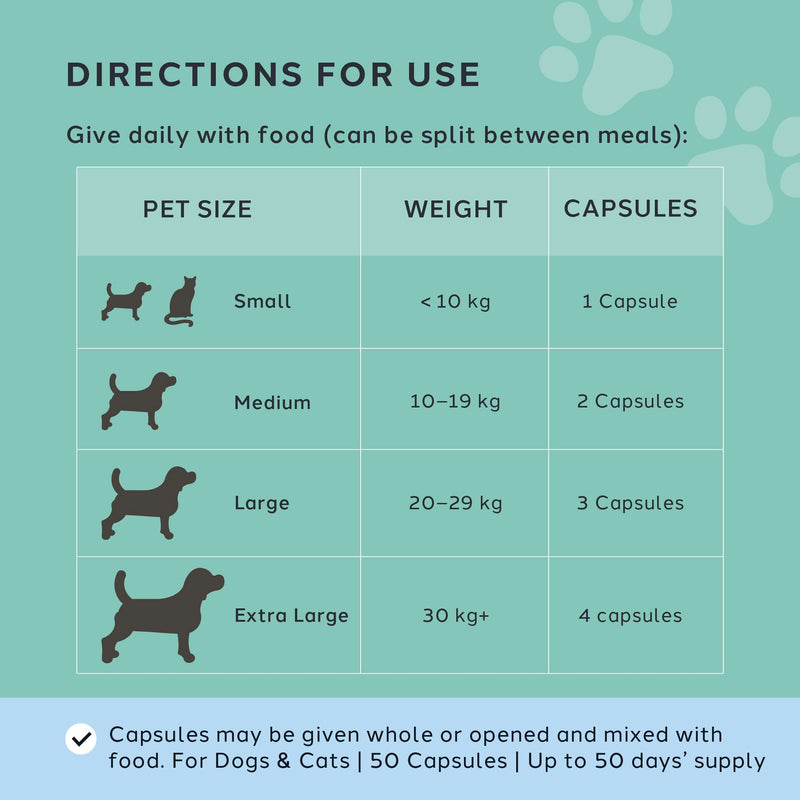 CharlieTheVet Calm Care, Salmon Flavour, Pet Calming Supplement, Capsules, Dogs & Cats, L-Tryptophan, L-Theanine, Valerian Root, 50 Capsules, Anxiety & Stress Relief