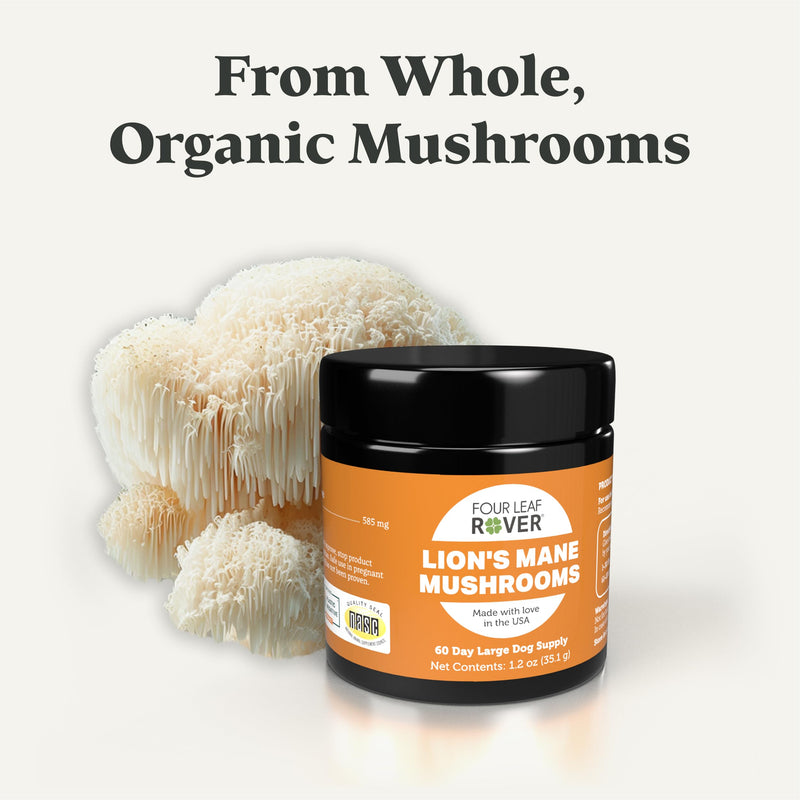 Lion's Mane Mushrooms for Dogs - Supports Healthy Brains and Nervous Systems in Dogs of All Ages - Organic Whole Mushrooms - 3rd Party Tested - 60 Day Large Dog Supply 1.2oz - PawsPlanet Australia