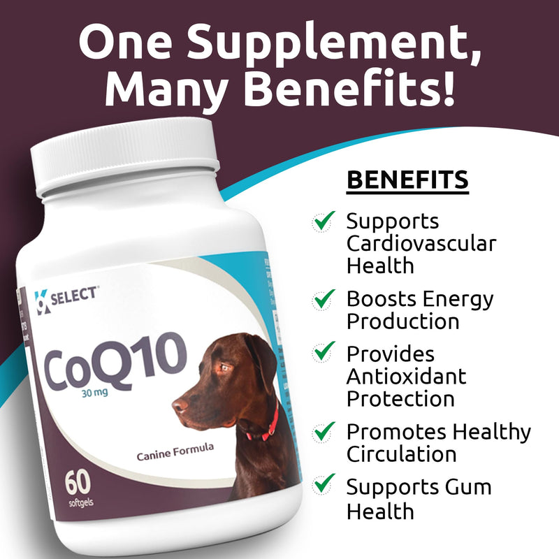K9 Select CoQ10 Supplement for Dogs, 30mg - 60 Soft Gels per Bottle - Pet Supplement, Nutritional Softgels for Canine Heart Health, Cardiovascular & Gum Health, Energy - PawsPlanet Australia
