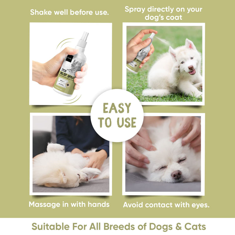 Cat & Dog Itchy Skin Relief Spray With Pure Aloe Vera, Tea Tree & Castor Oil - Natural, Lick Safe Itchy Dog Relief -Anti-itch Cat Spray and Itchy Dog Skin Relief For Allergies & Hot Spots -250ml