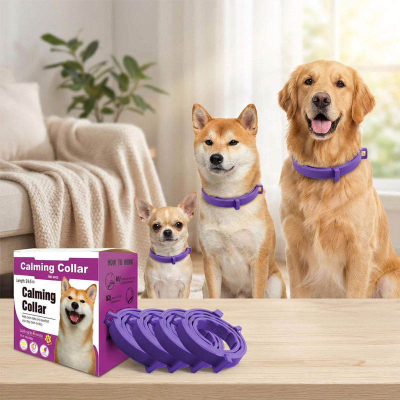 Calming Collar for Dogs, Dog Collar 60-Day Adjustable Calming Collars for Small Medium Large Dogs, 24.5 Inch Comfort Fit Collar 4PCS (Gray) Gray