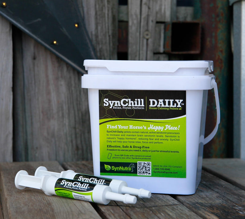 SynChill Oral Horse Calming Gel, 100% Natural & Nutritional Supplement, Lab Proven Results, Designed for Focus & Performance, Approved by Olympic Professionals & Veterinarians, Made in USA - 1 Pack 1-Pack - BeesActive Australia